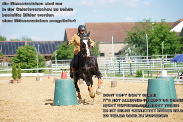 s_K3F07136.JPG
